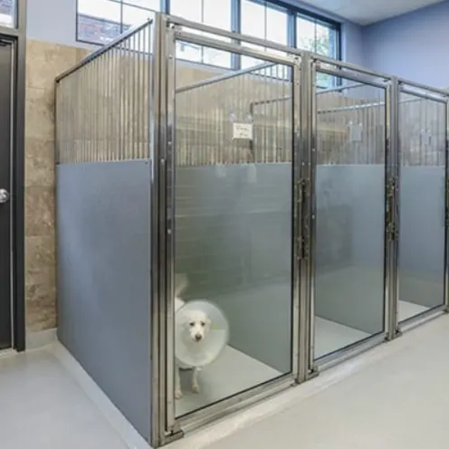 Large kennel area with clean kennels at Carriage Animal Hospital